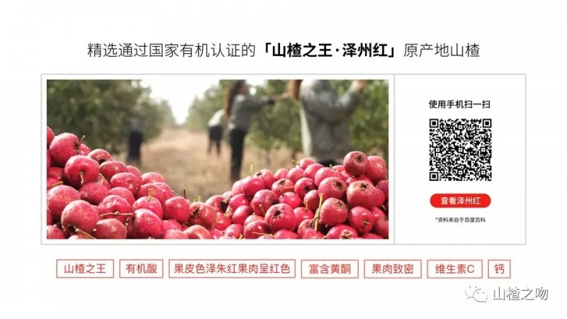 十大品牌 十大品牌