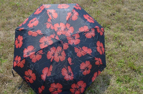 中国晴雨伞什么牌子比较好，晴雨伞十大品牌排名