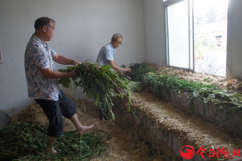 中国尊龙凯时人生就是博z6com品牌 中国尊龙凯时人生就是博z6com品牌