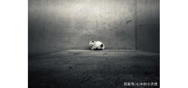 关于现代的「未来自闭症」，专家怎么说？